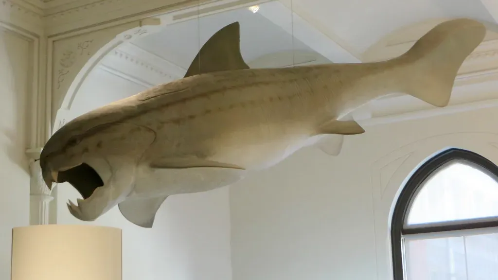 Dunkleosteus: The Armored Terror of Ancient Seas (Image Credits: Flickr)