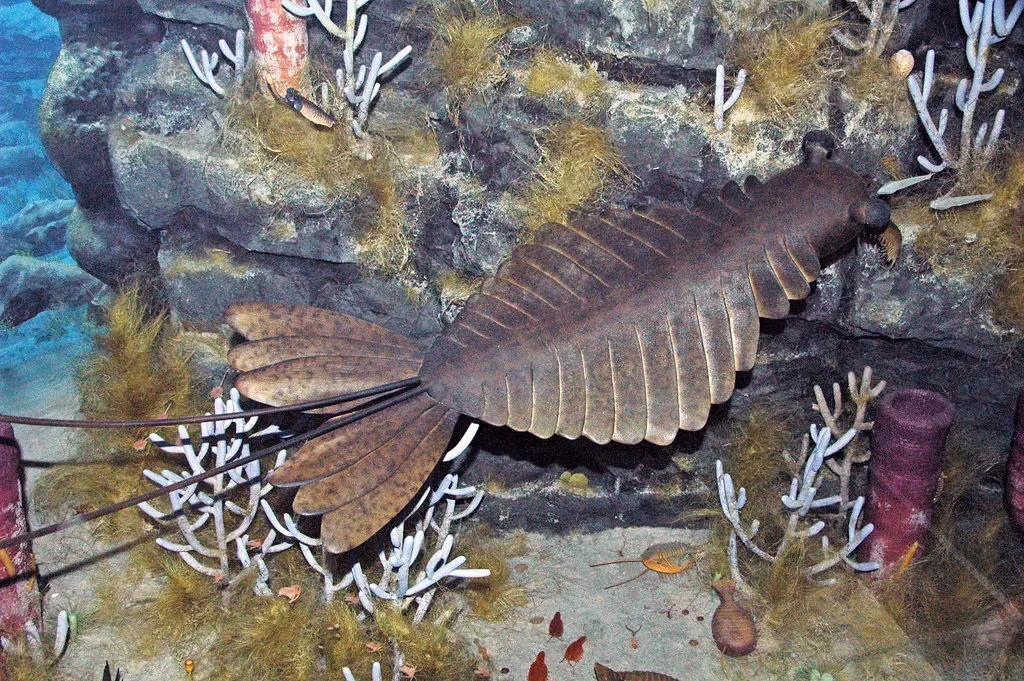 The Cambrian Explosion: When Evolution Hit the Gas Pedal (James St. John, Flickr, CC BY 2.0)