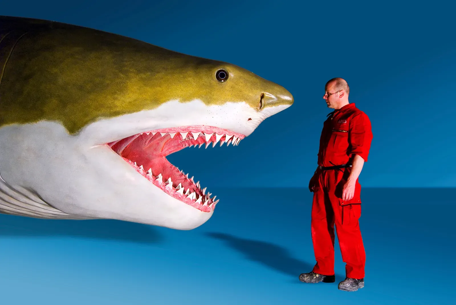 A Size That Defies Imagination (Image Credits: Wikimedia)