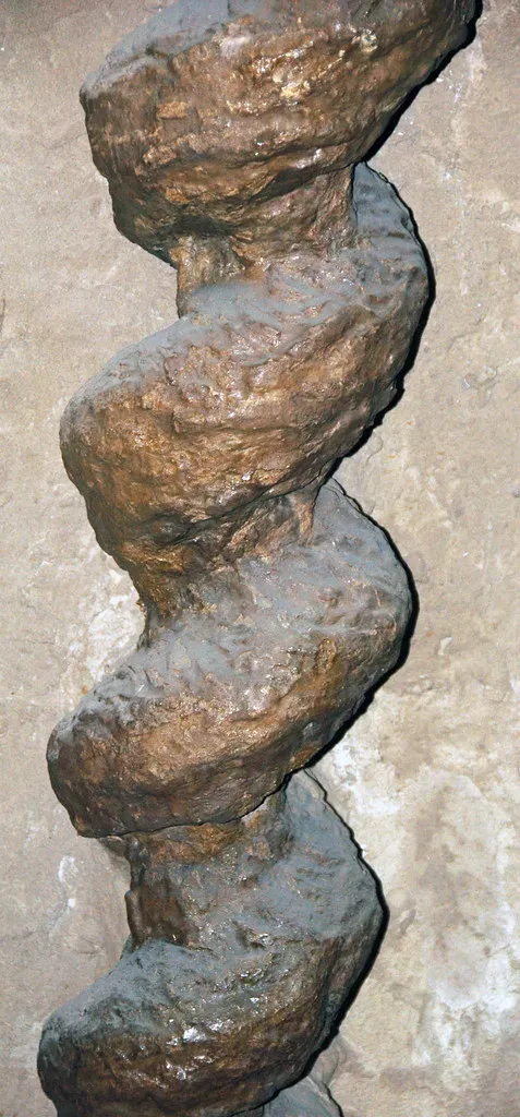 How a Misunderstood Fossil Shows You Science in Real Time (James St. John, Flickr, CC BY 2.0)