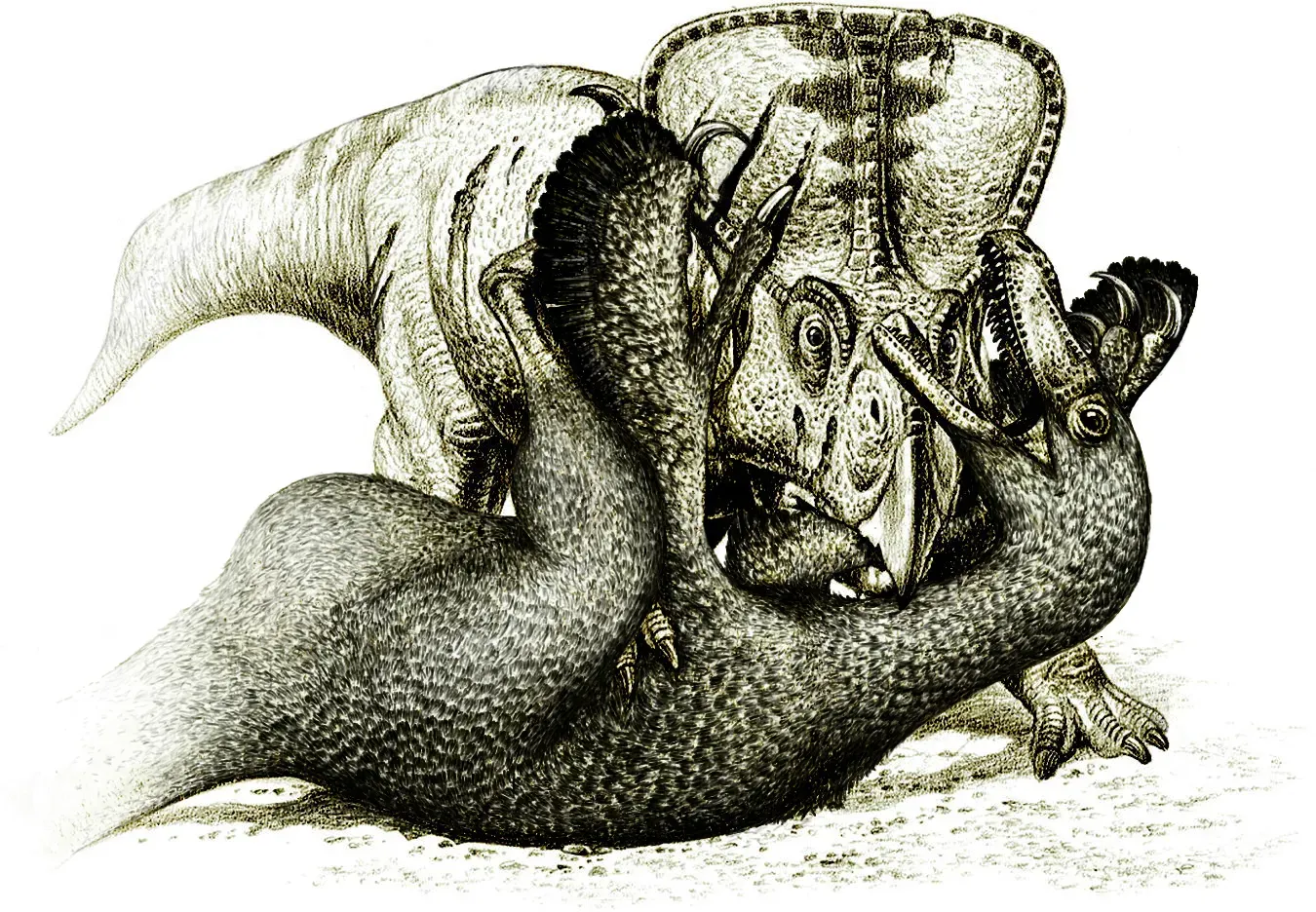 Conclusion: The Bones Never Lie ((2003). "A Field Trip to the Mesozoic". PLOS Biology 1: e40. DOI:10.1371/journal.pbio.0000040. PMC: 261880., CC BY 4.0)