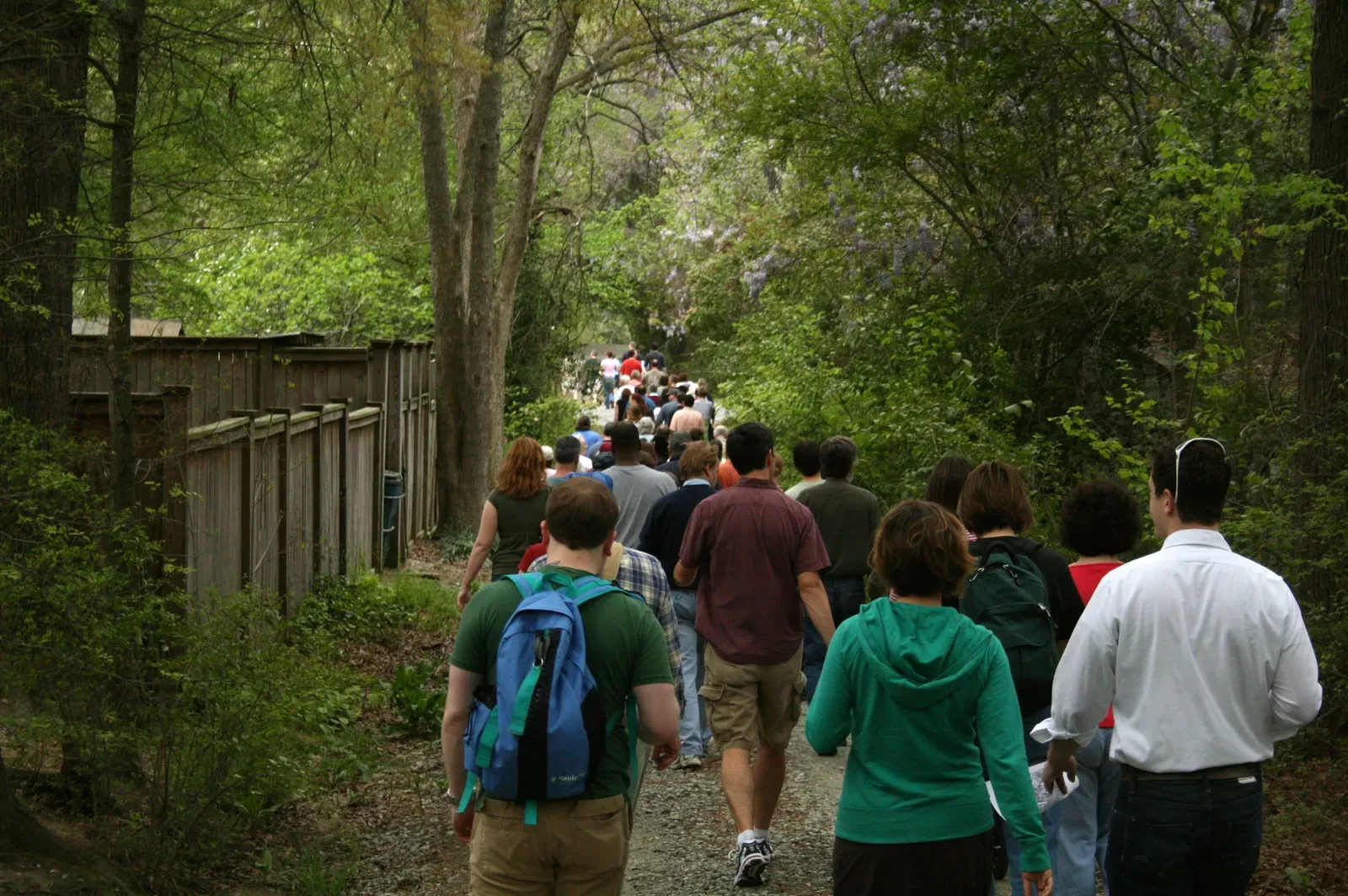 Social Proof: Following The Herd Without Realizing It (Image Credits: Wikimedia)