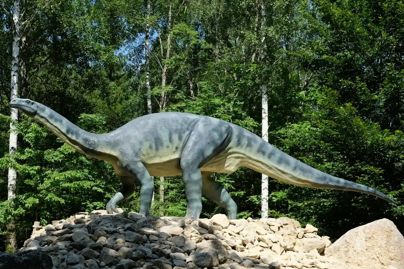 5. Plateosaurus: The Early Giant That Tested the Limits (By Chrisi1964, CC BY-SA 4.0)