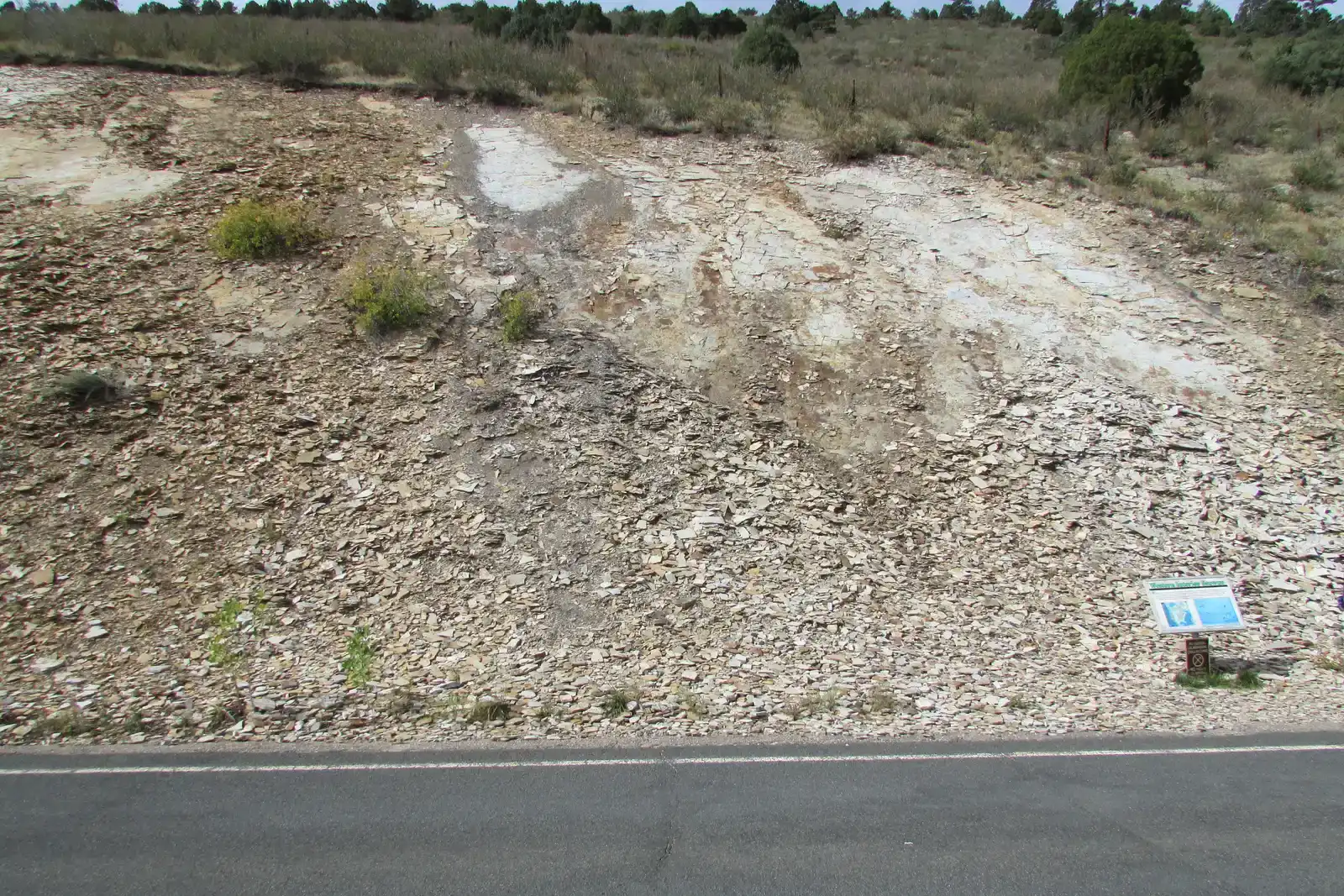 An Oxygen-Starved Sea Floor That Preserved Everything (Image Credits: Wikimedia)