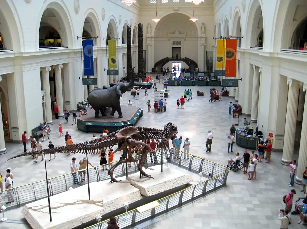 Field Museum, Chicago, Illinois (janeway216, Flickr, CC BY-SA 2.0)