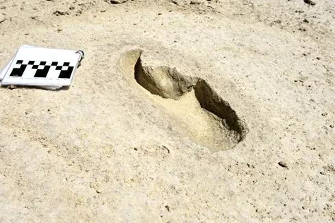 #8 - Footprints Hidden Inside Other Footprints (National Park Service, White Sands National Park (archive) - white balanced using the scale card for black and white points, Public domain)