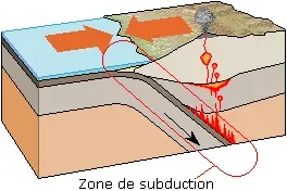 Subduction Zones: The Engine of Trench Formation (Image Credits: Wikimedia)