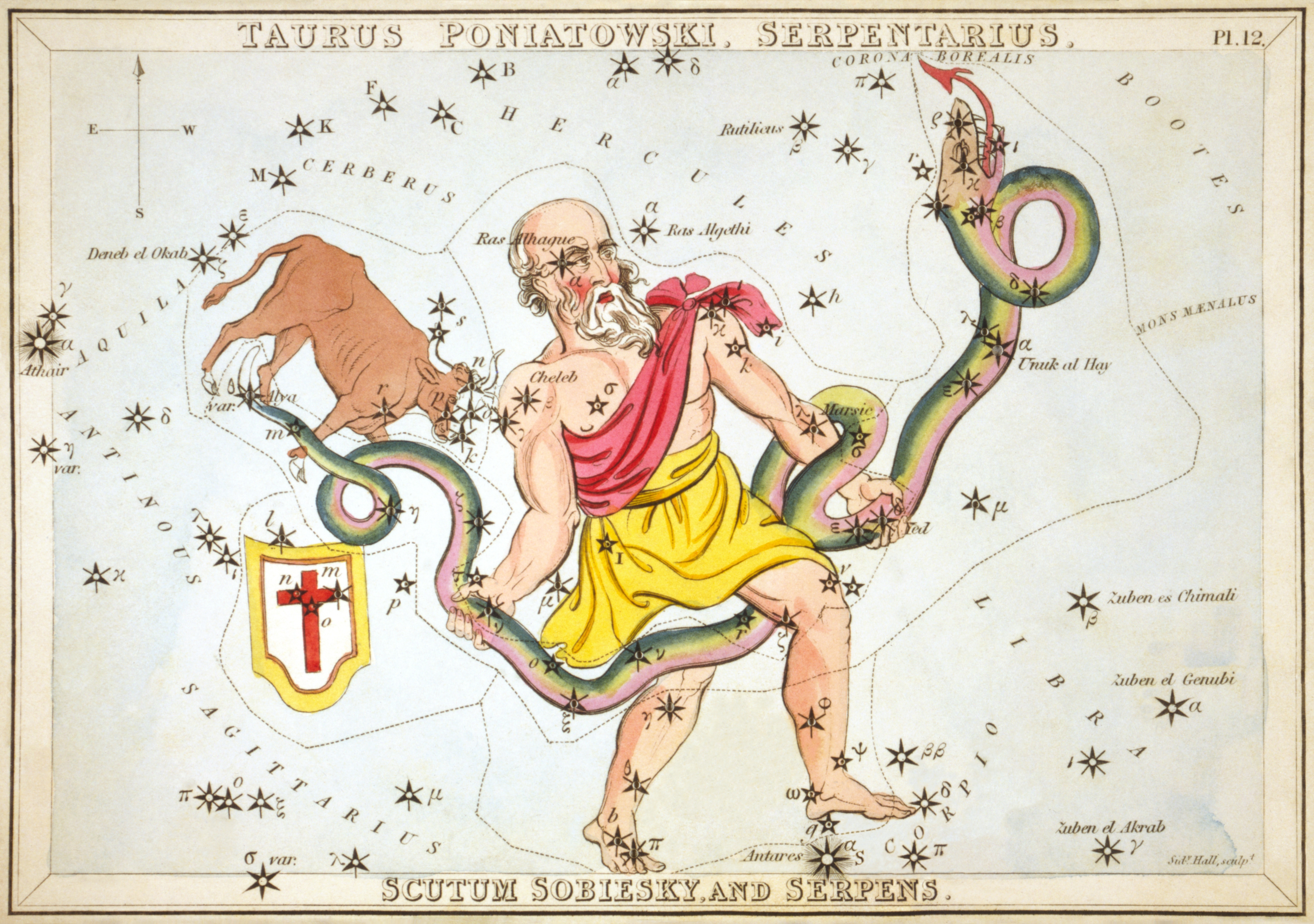 Taurus: The Earth's Steady Gaze (Image Credits: Wikimedia)
