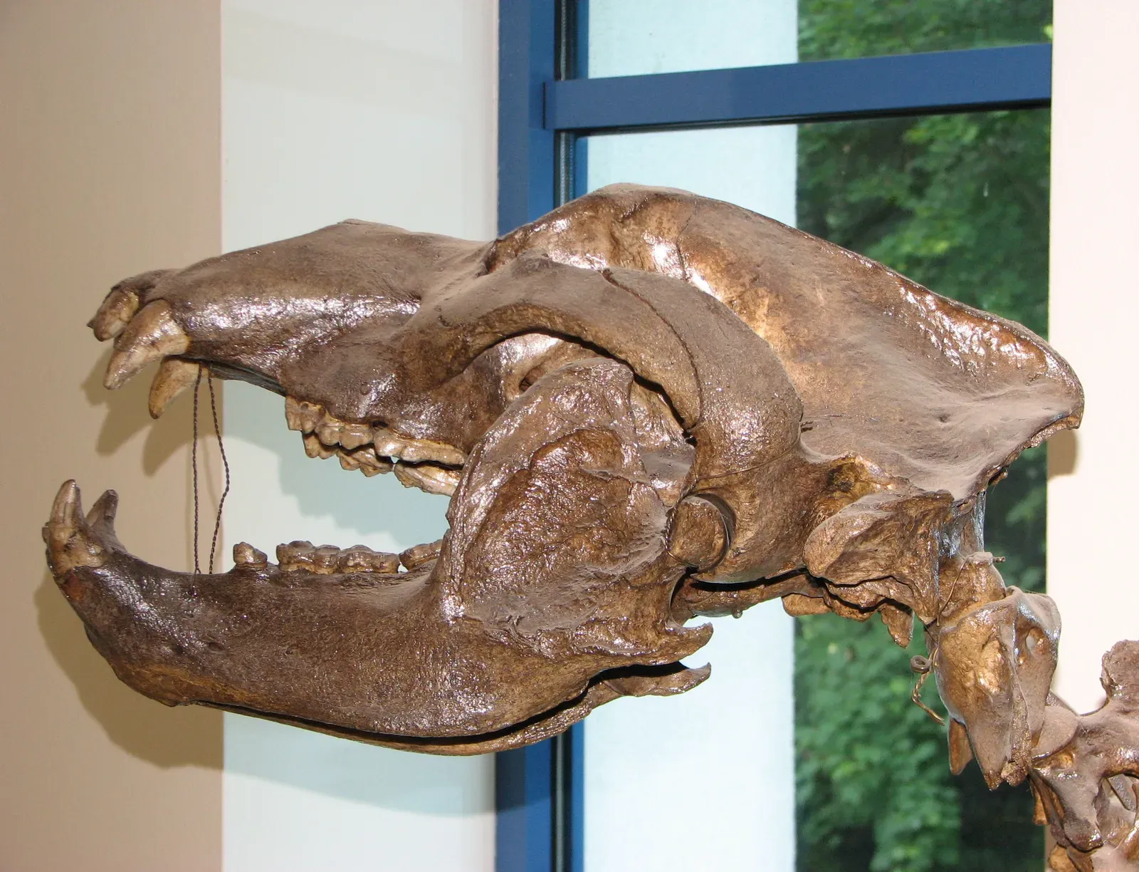 8. They May Have Been the Subject of the World's First Cult (Self-photographed, Public domain)