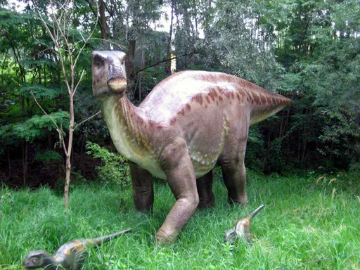 14. Iguanodon: Goodbye, Kangaroo Tail and Thumb-Nose Spike (By Marcus Ringer, CC BY-SA 3.0)