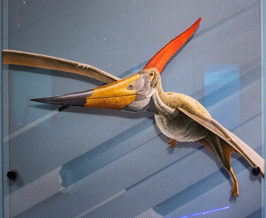 4. Pteranodon: The Toothless Soaring Master (Tim Evanson, Flickr, CC BY-SA 2.0)