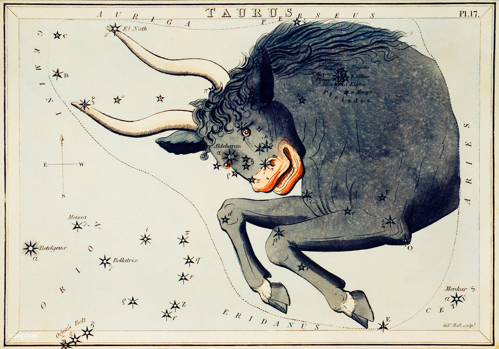 Taurus: The Bull's Earthbound Wisdom (Image Credits: Flickr)