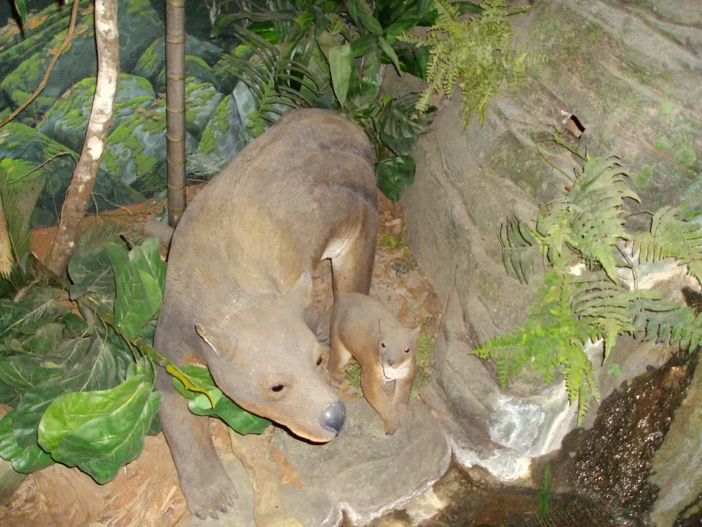 Conclusion (Image Credits: Flickr)