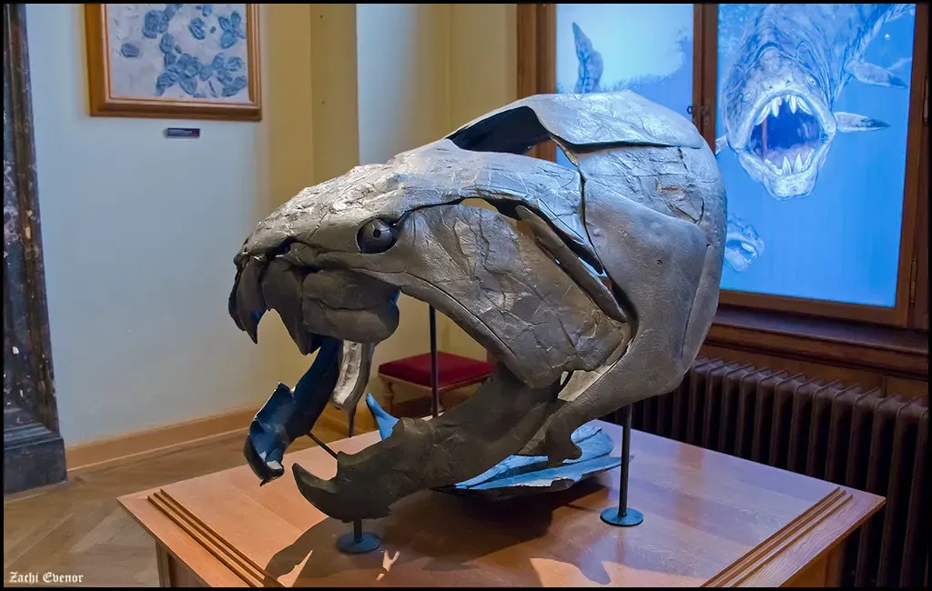 3. It Could Open Its Jaws In A Lightning-Fast Snap (Zachi Evenor, Flickr, CC BY 2.0)