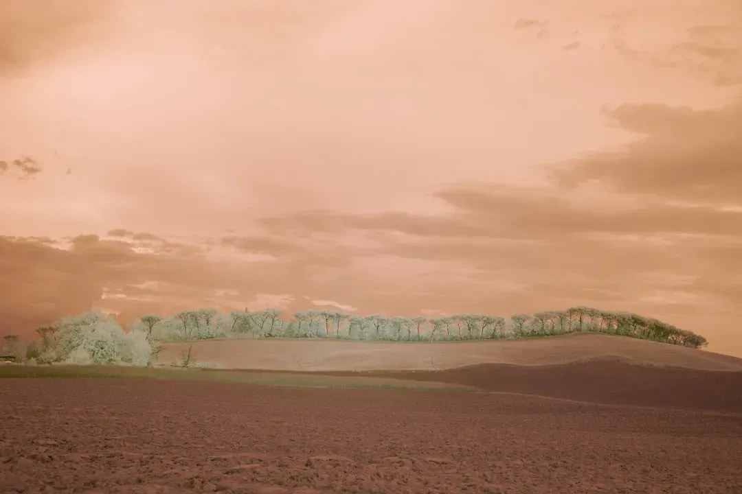 Breathing Air That Would Leave You Gasping (Image Credits: Unsplash)