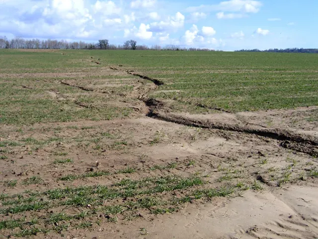 #10 - It Forced the Birth of Modern Soil Science in America (From geograph.org.uk, CC BY-SA 2.0)