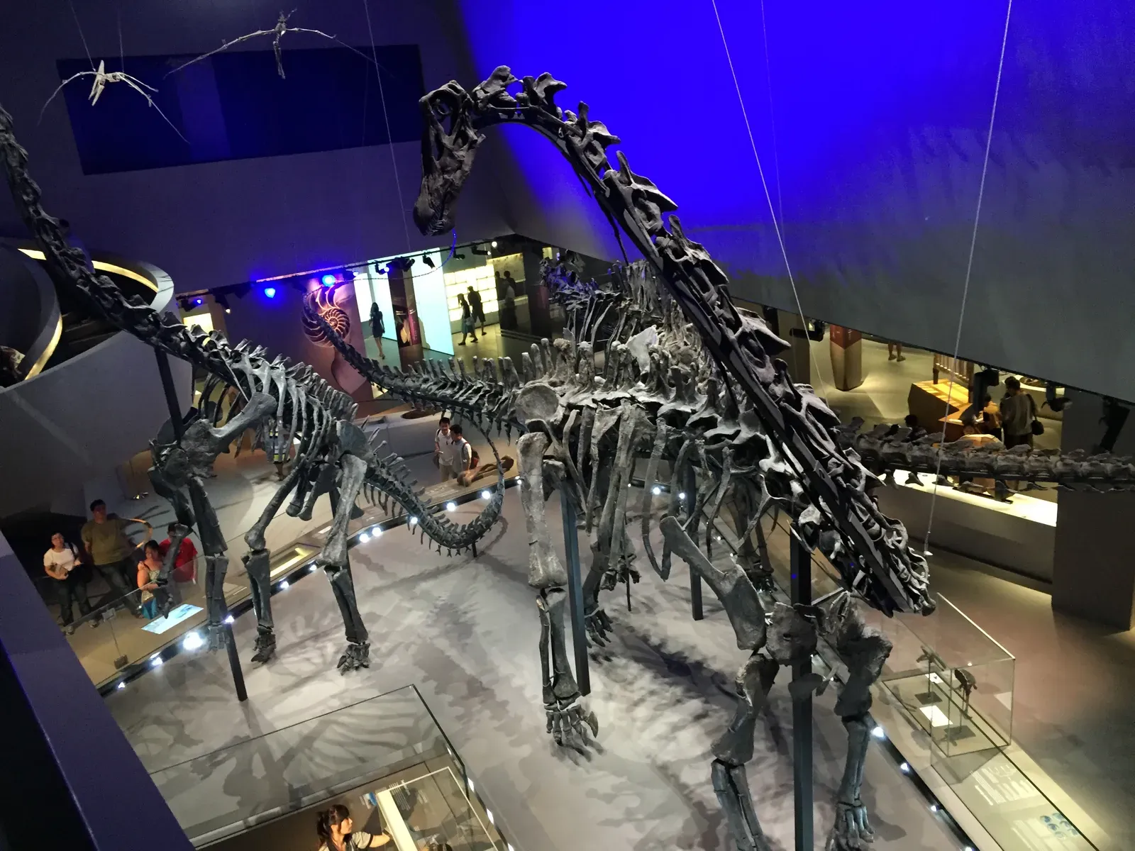 Why Being Giant Took So Long: The Engineering Problem of a Sauropod (By Jacklee, CC BY-SA 4.0)