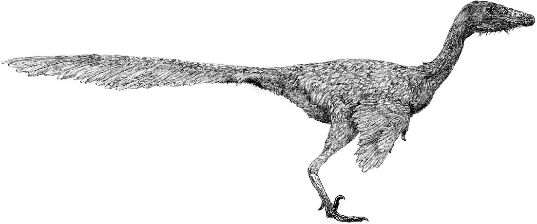 Talos Sampsoni: The Bronze Guardian with Deadly Talons (Image Credits: Wikimedia)