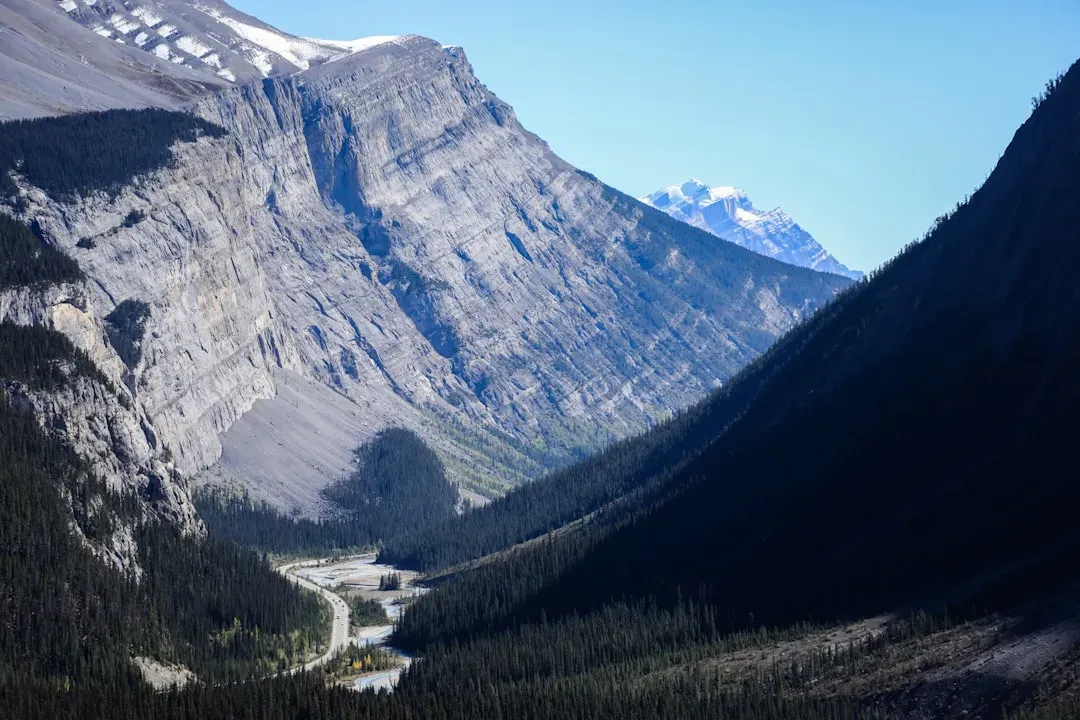 Where the Discovery Was Made and Who Found It (Image Credits: Unsplash)