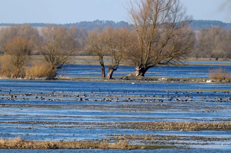 Tropical Floodplains: The Sauropod Superhighways (Image Credits: Pexels)