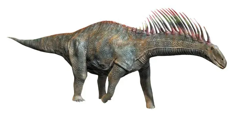 3. Amargasaurus: The Spined “Sailboat” Sauropod (By © N. Tamura | nobu.tamura@yahoo.com | http://spinops.blogspot.com | http://paleoexhibit.blogspot.com, CC BY-SA 4.0)