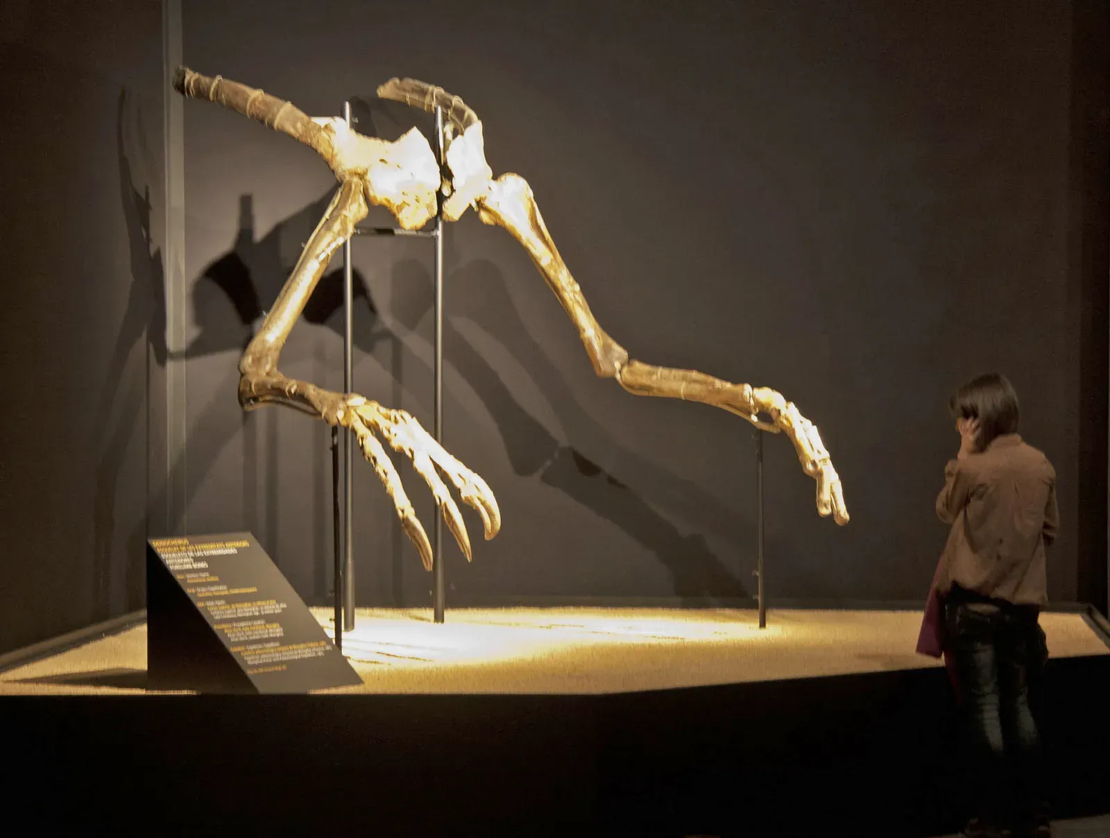 #10 - Deinocheirus Was Just Giant Arms for 50 Years (IMG_1241'Uploaded by FunkMonk, CC BY-SA 2.0)