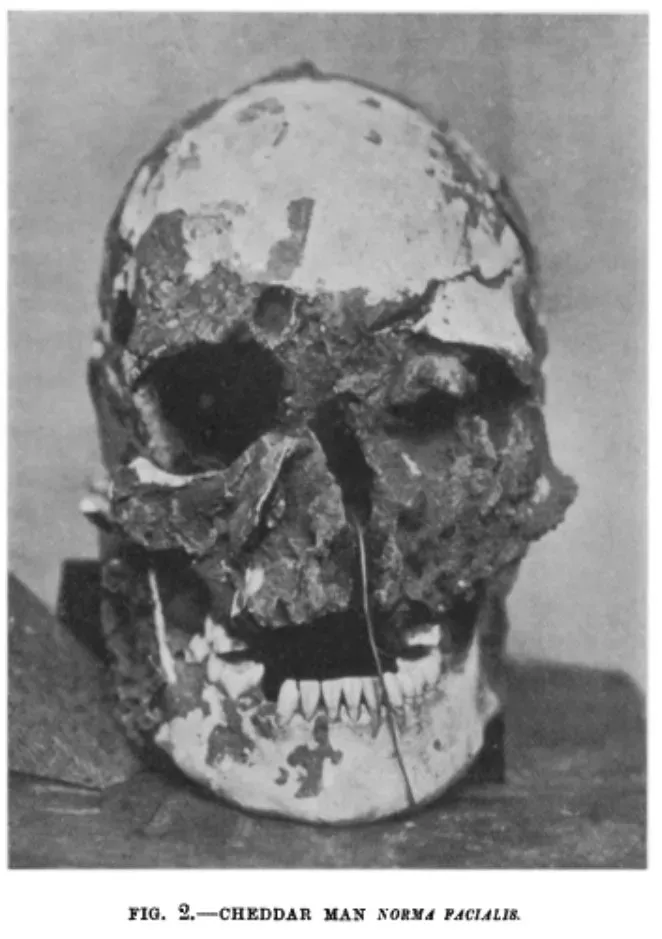 #2 - He's Not Even Britain's Oldest Human Trace (By C. G. Seligman and F. G. Parsons, Public domain)