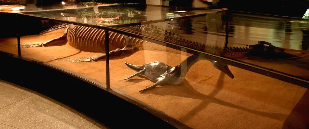 Plesiosaurs and Others: Were They Also Giving Birth to Live Young? (donvega, Flickr, CC BY-SA 2.0)