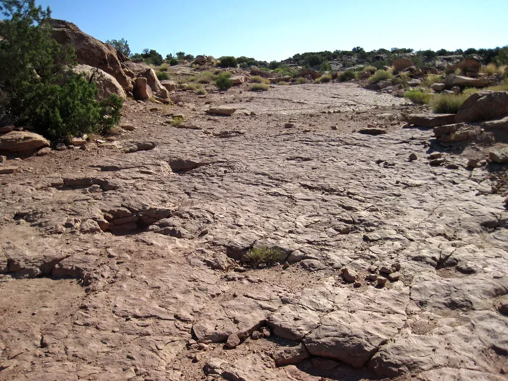 The Excavation Isn't Over Yet (James St. John, Flickr, CC BY 2.0)