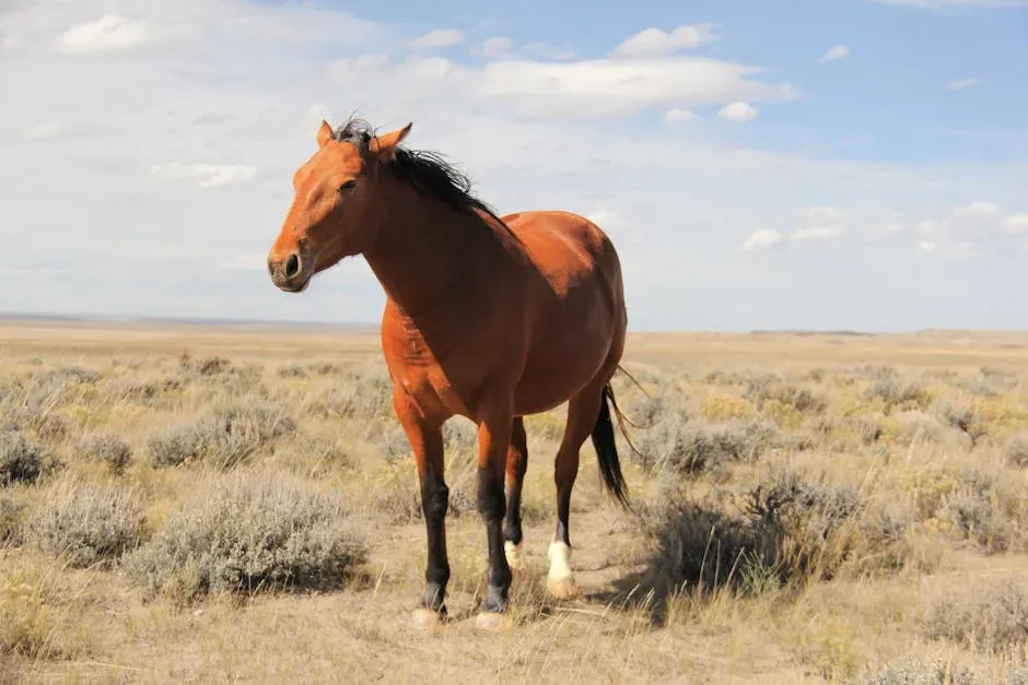 Aries Moon – The Wild Mustang (Image Credits: Pexels)
