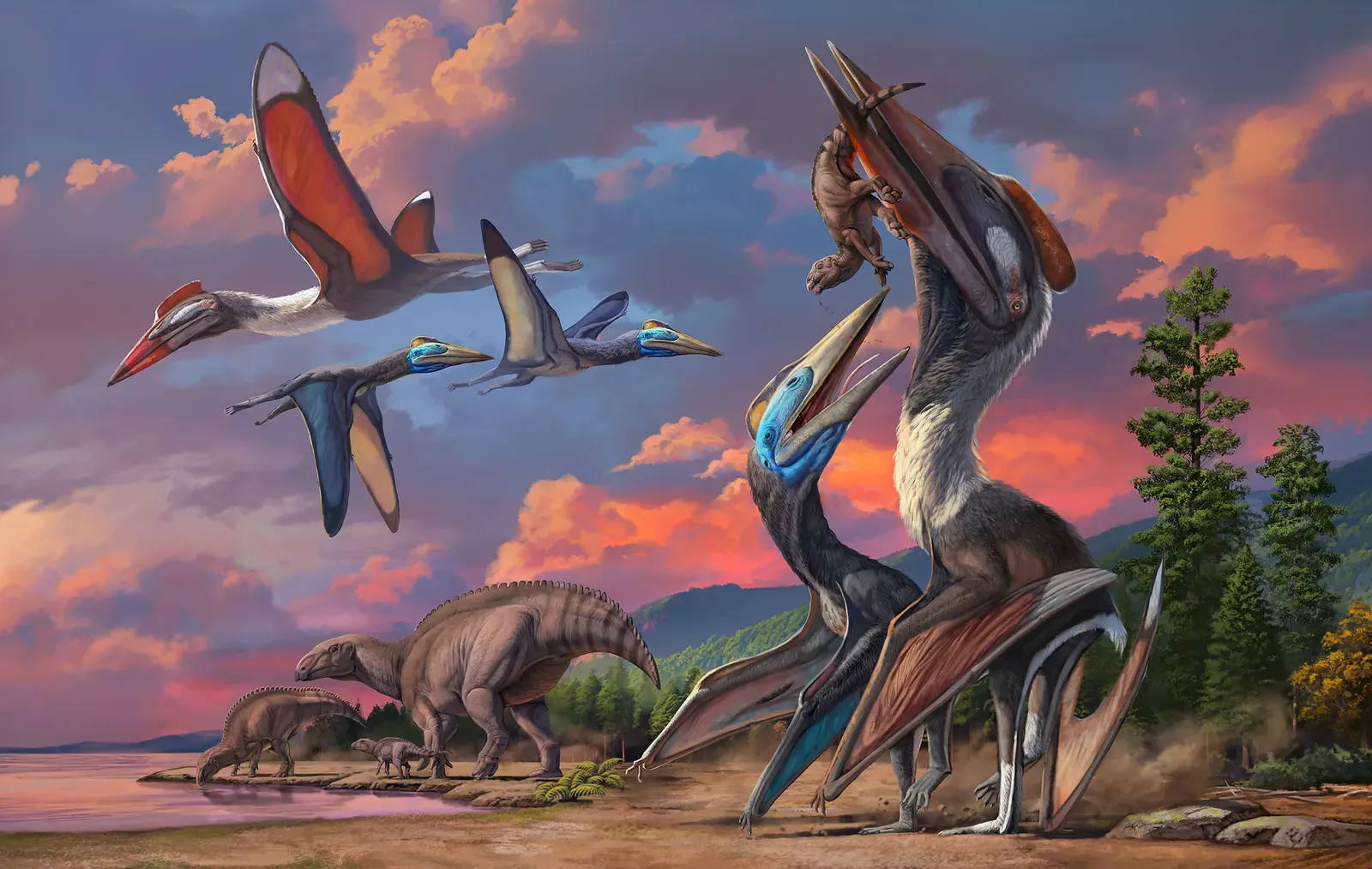 Mongolia's Desert Yields Dual Azhdarchid Species (Image Credits: Wikimedia)