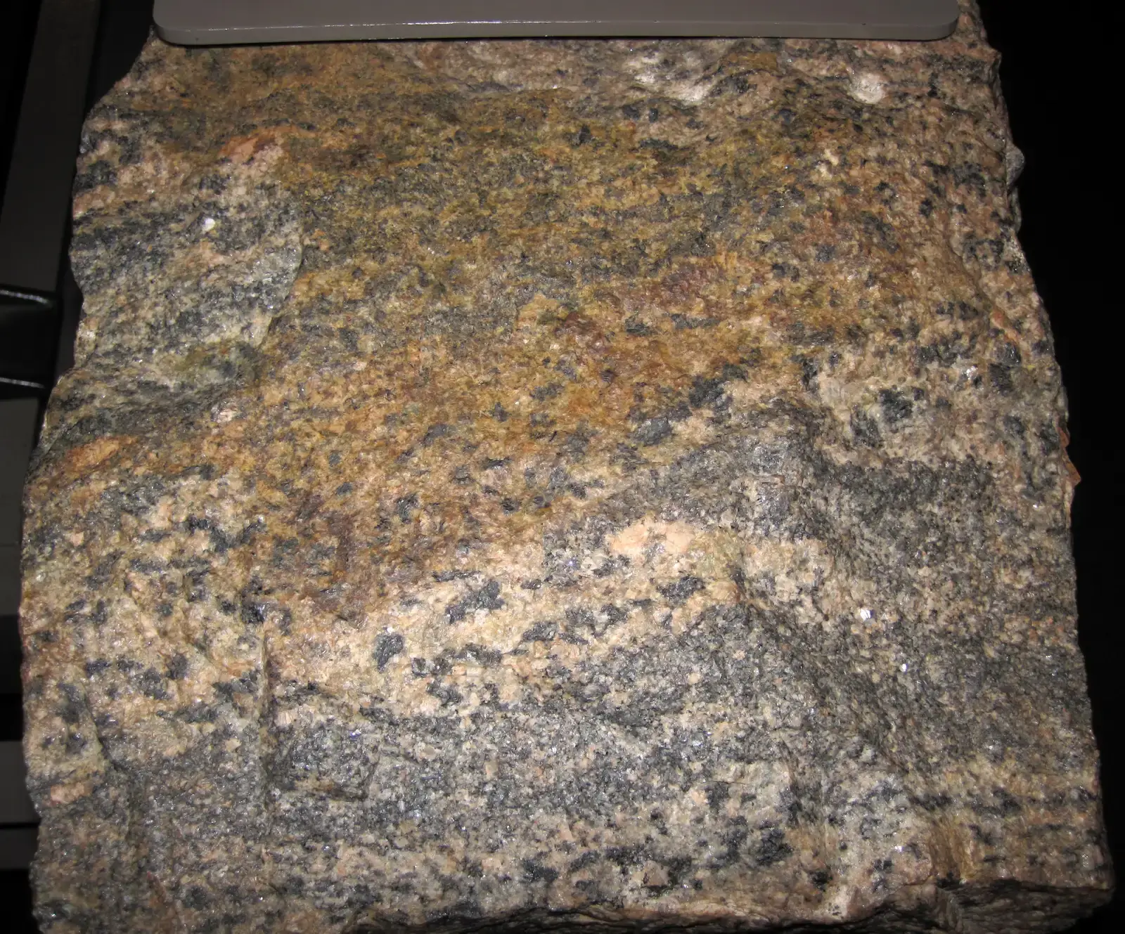 2. The Morton Gneiss, Minnesota River Valley (Migmatite (Archean, ~3.4 to 3.5 Ga; Minnesota, USA) 1, CC BY 2.0)