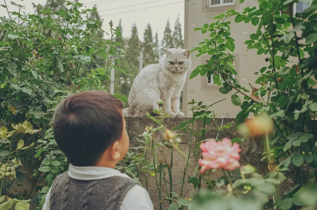 Why Children Do This Naturally - and Many Adults Unlearn It (Image Credits: Unsplash)