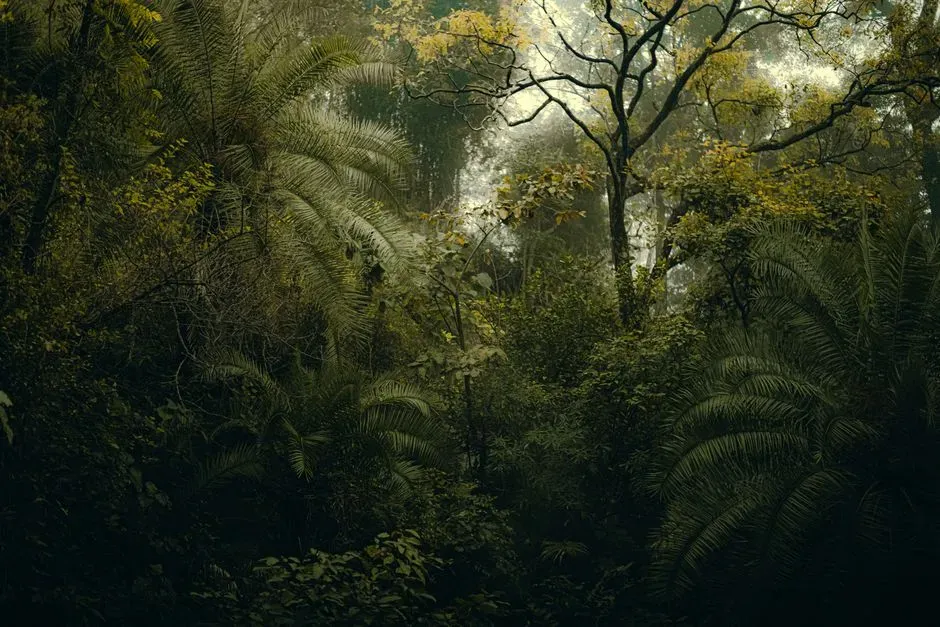Forests Before Flowers: Strange Plants, Dark Woods, And No Grass (Image Credits: Pexels)