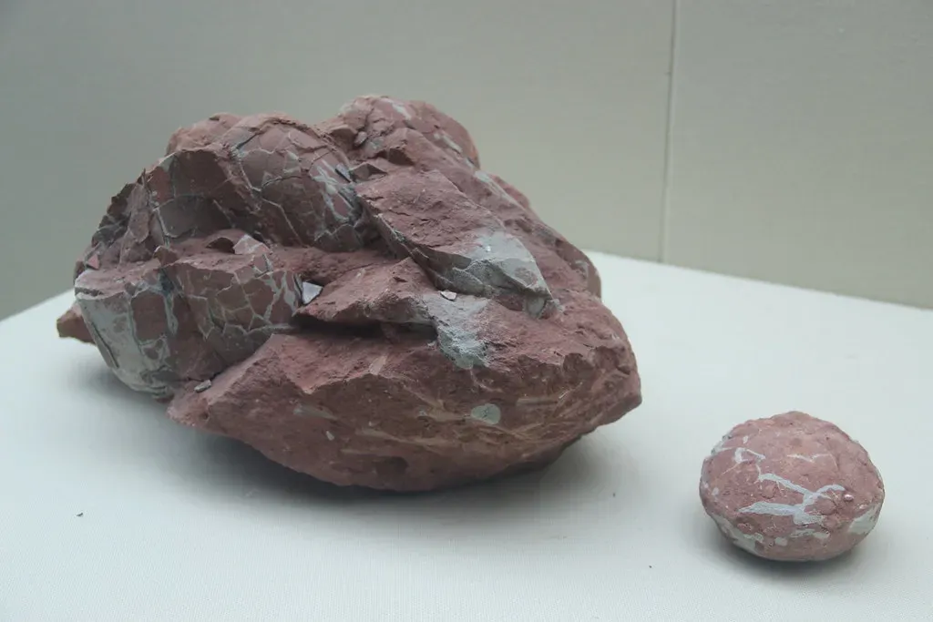 9. Dinosaur Egg Studies Help You Understand the Origin of Birds (Image Credits: Flickr)