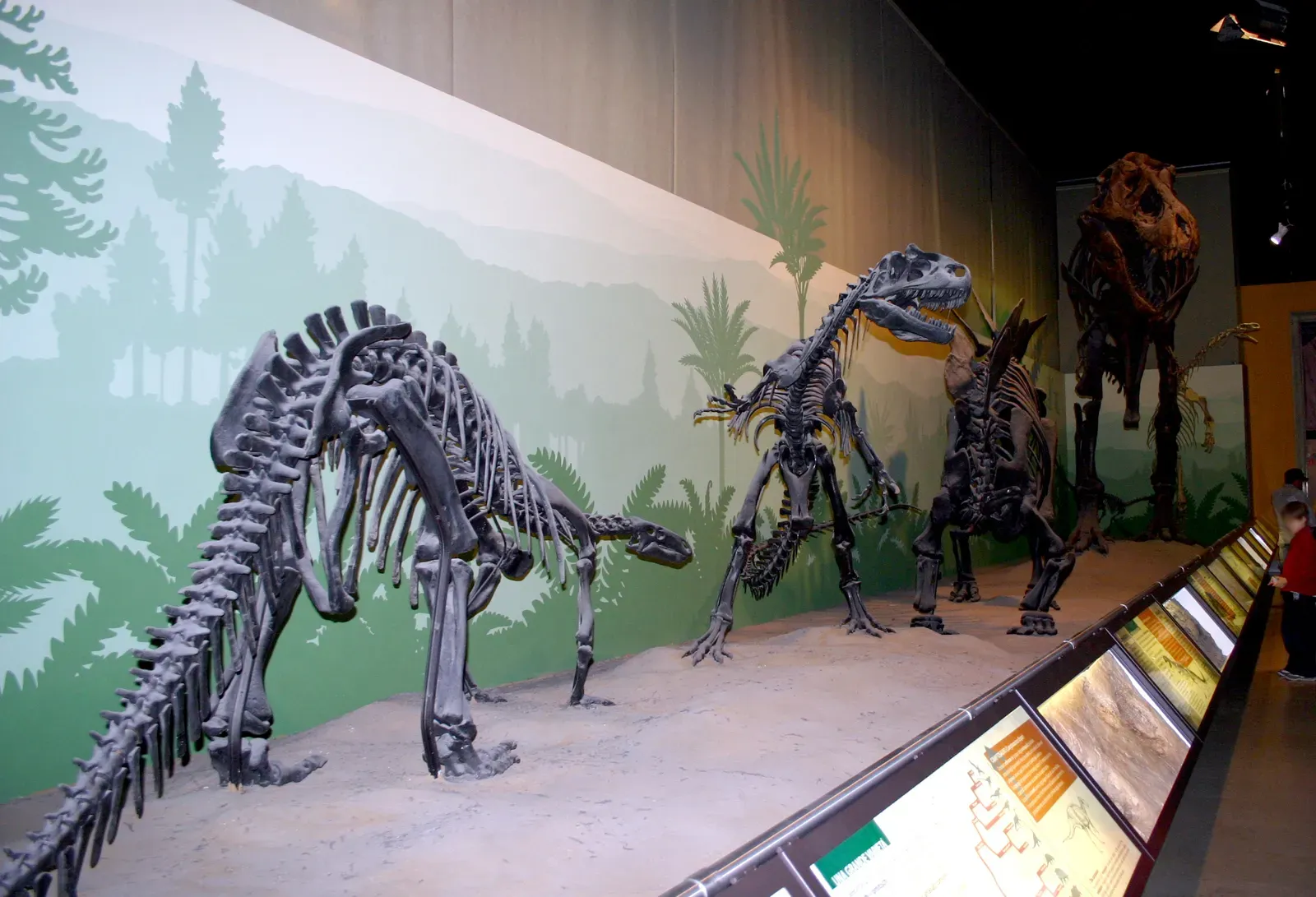 Myth 3: T. Rex and Stegosaurus Lived at the Same Time (Image Credits: Wikimedia)