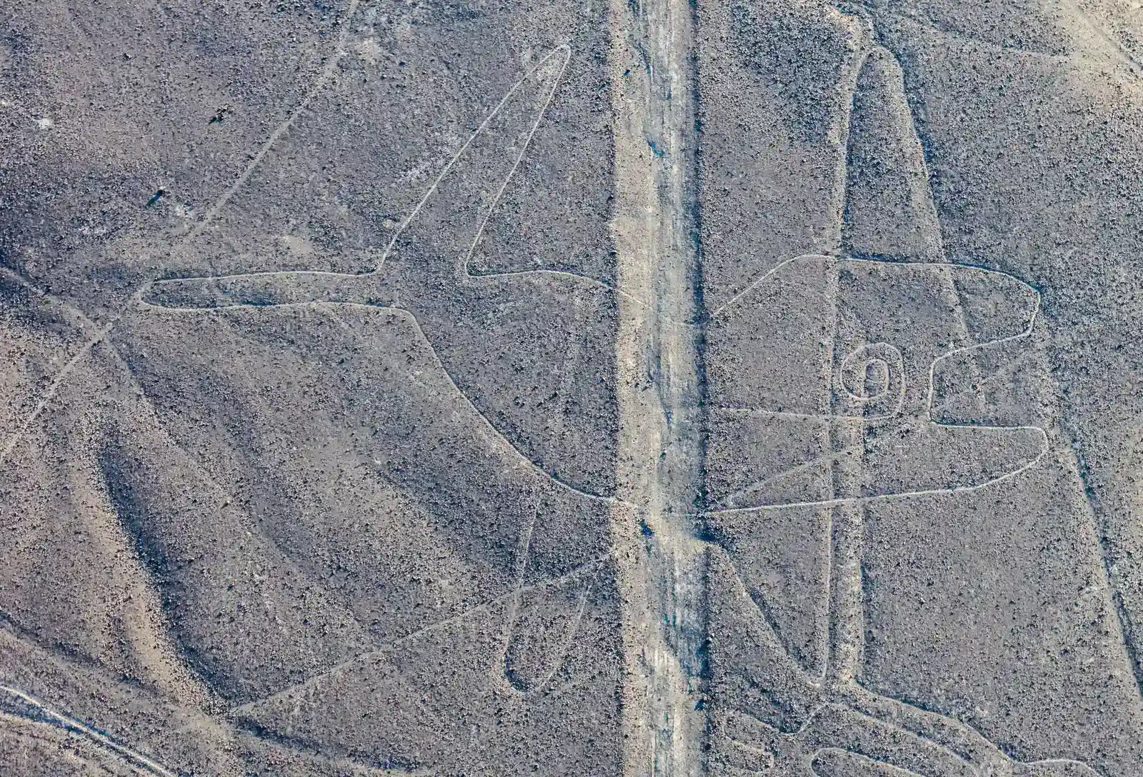 12. Göbekli Tepe's Sibling: The Nazca Lines, Peru – Drawings Only the Sky Can Read (By Diego Delso, CC BY-SA 4.0)