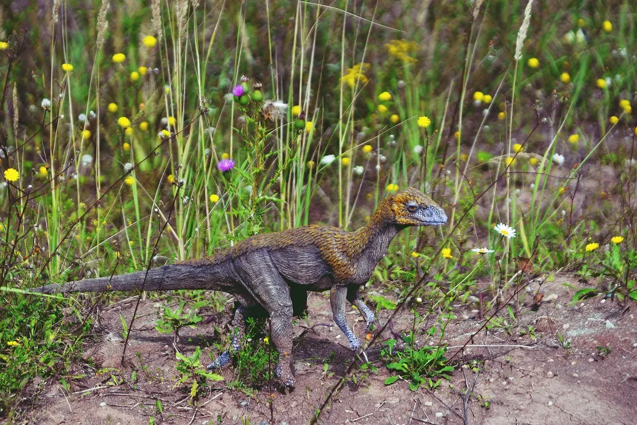 The Hyper-Curious Problem-Solver: Are You Basically a Small Feathered Dinosaur With a Laptop? (Image Credits: Pixabay)