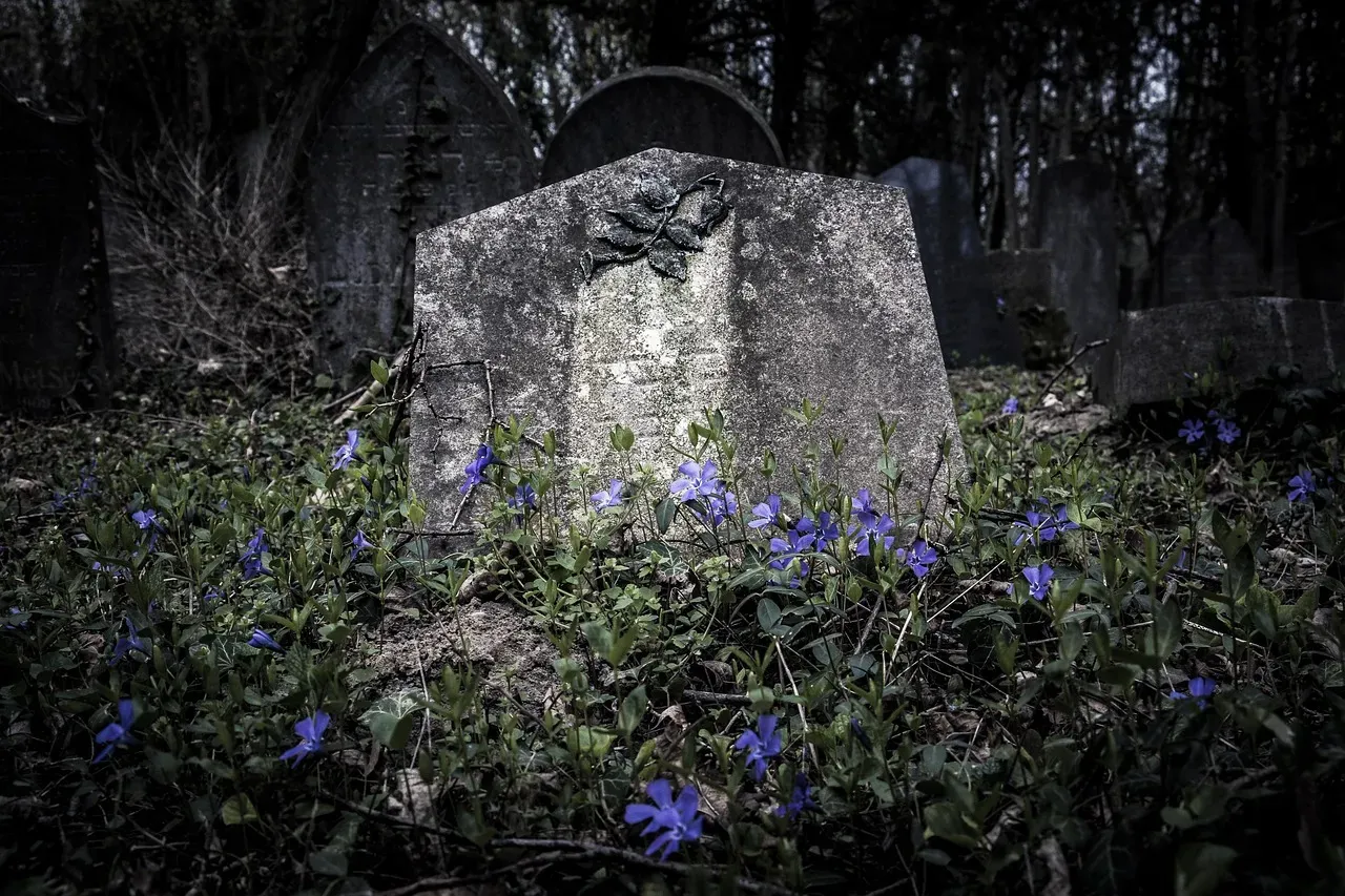 The Afterlife Without a Name or a Book (Image Credits: Pixabay)