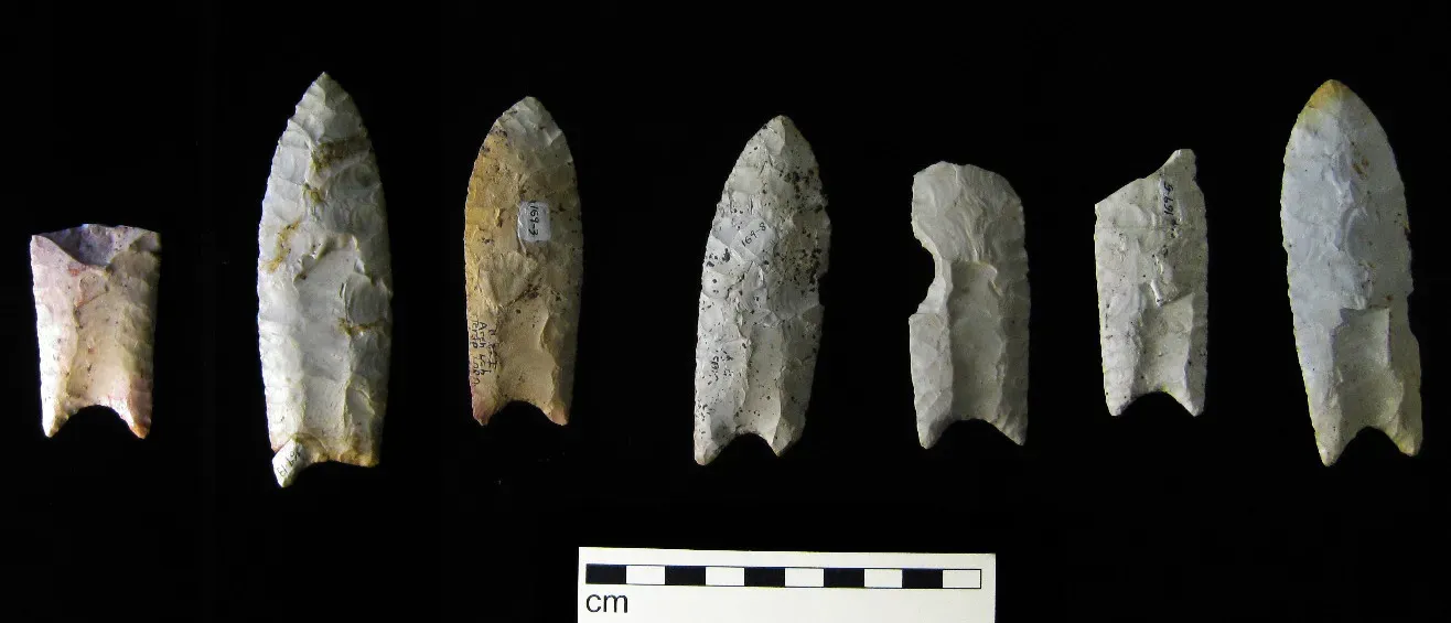 Clovis Points: America's First Great Invention (Image Credits: Wikimedia)