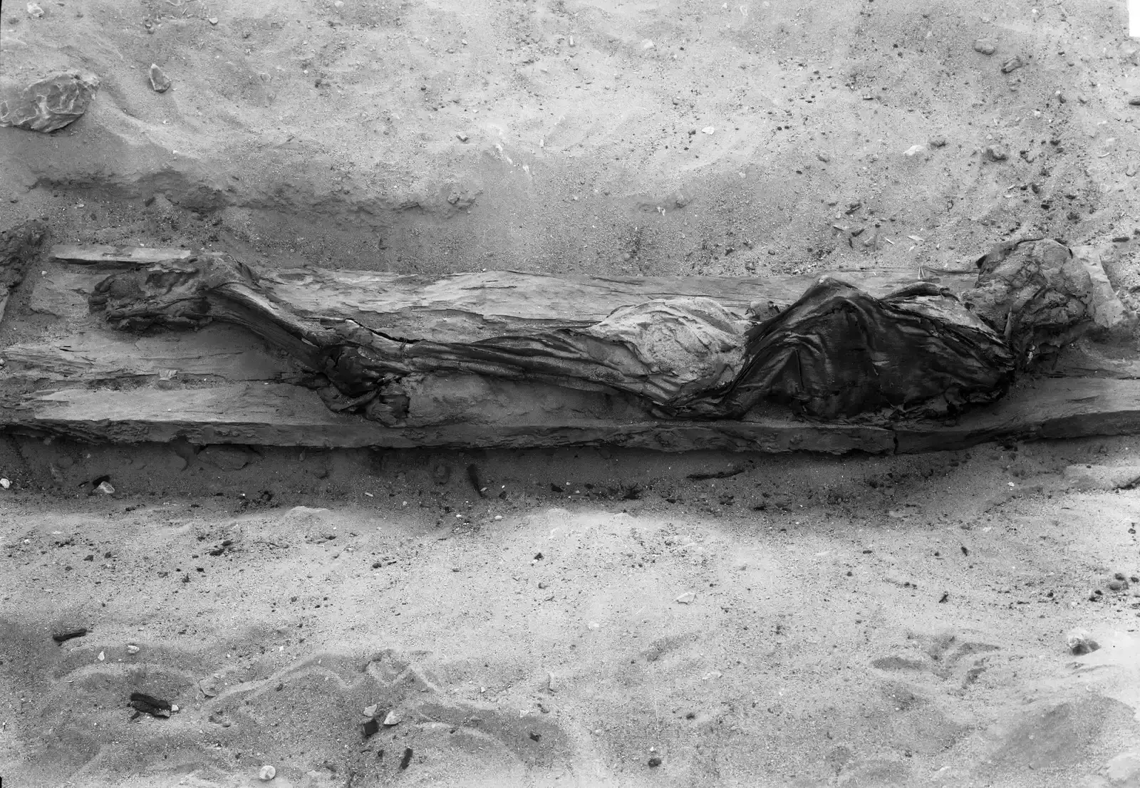 Why These Burials May Precede All Known Religions (Archivio fotografico Museo Egizio, Turin - online catalogue, CC0)