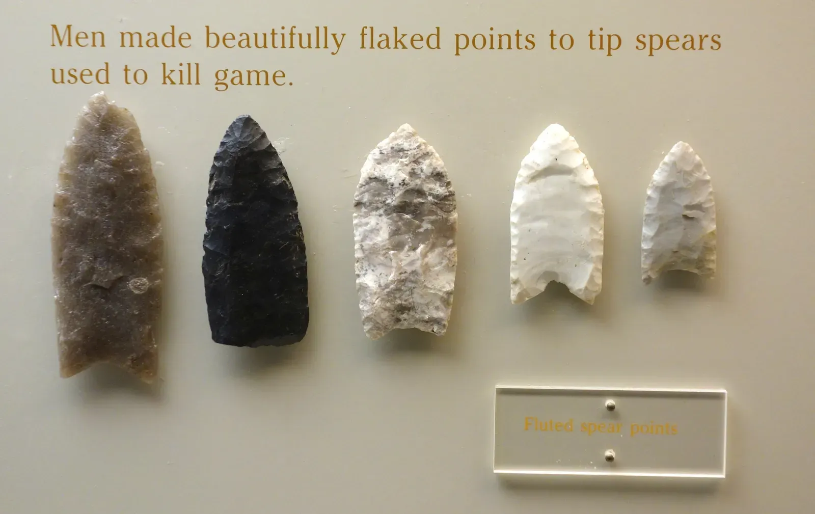 The Clovis Culture Loses Its Crown (Image Credits: Wikimedia)