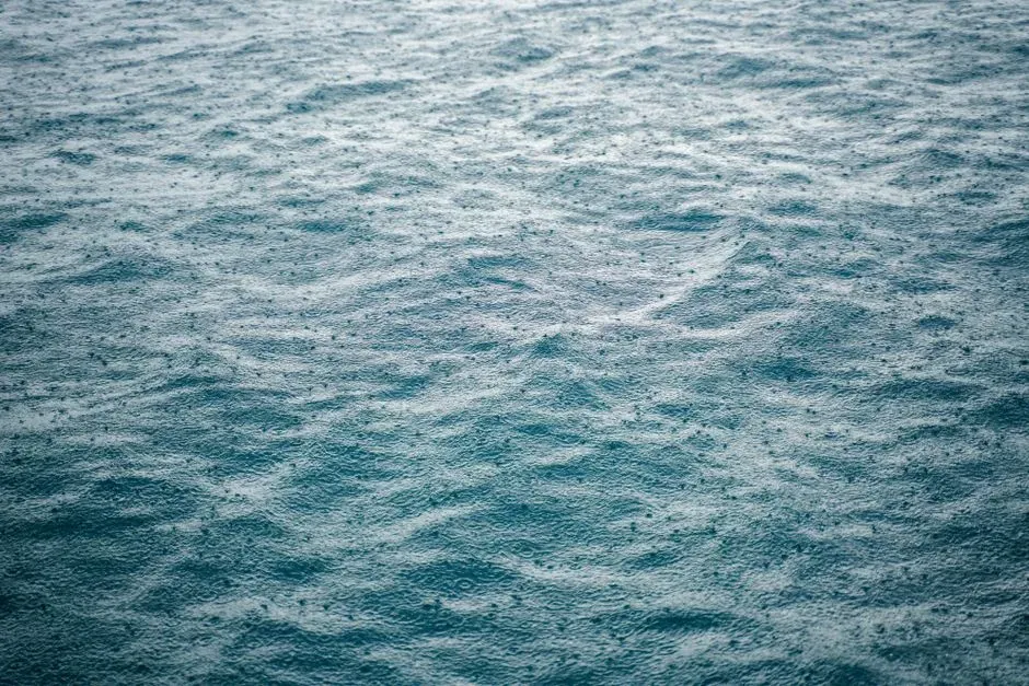 Acid Rain and Oceans Turned Hostile (Image Credits: Pexels)