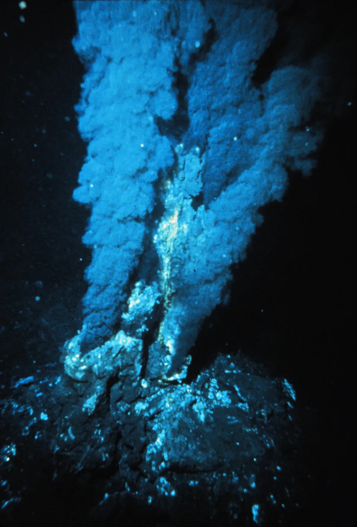 Hydrothermal Vents: The Cradle of Life as We Know It (Image Credits: Wikimedia)