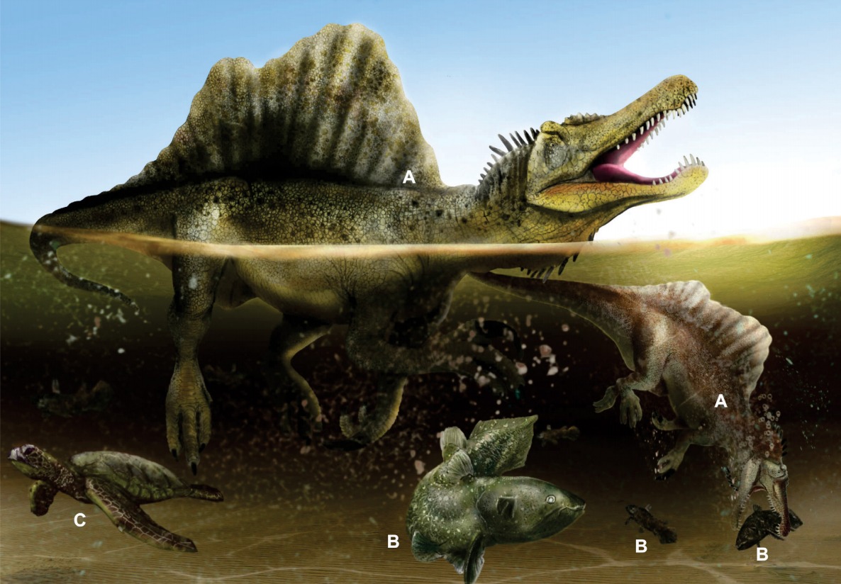 Spinosaurus: The Aquatic Terror (Image Credits: Wikimedia)