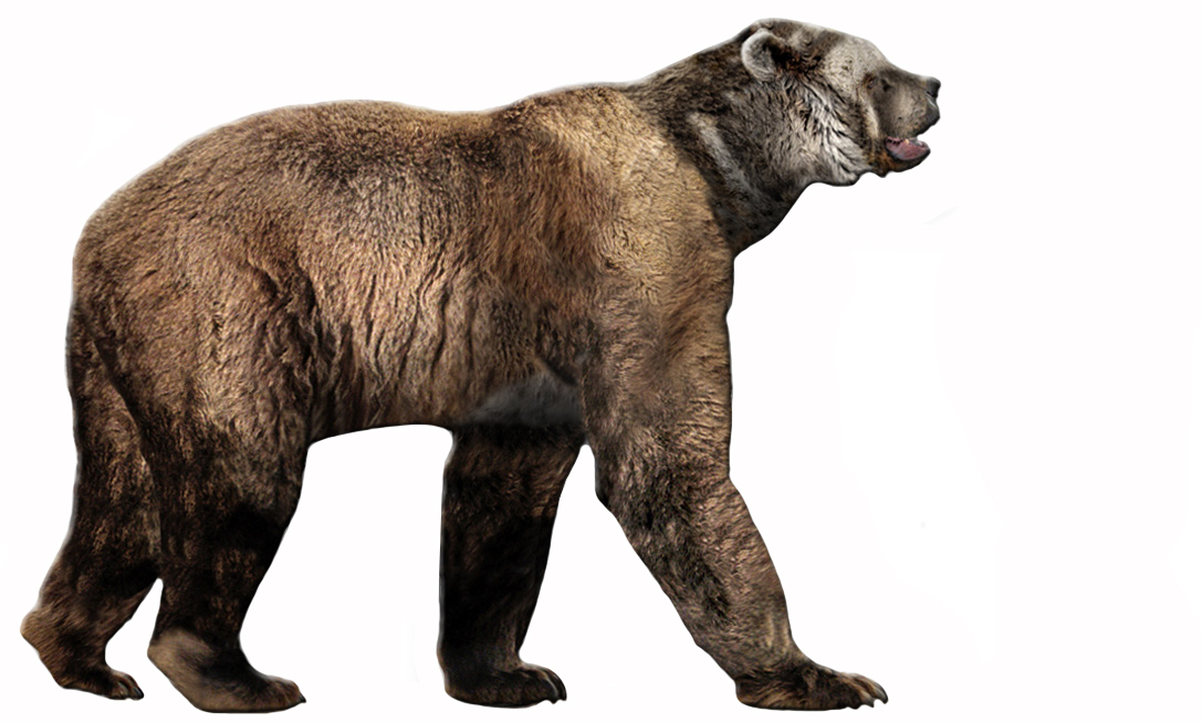 Short-Faced Bears: The Towering Terrors (Image Credits: Wikimedia)