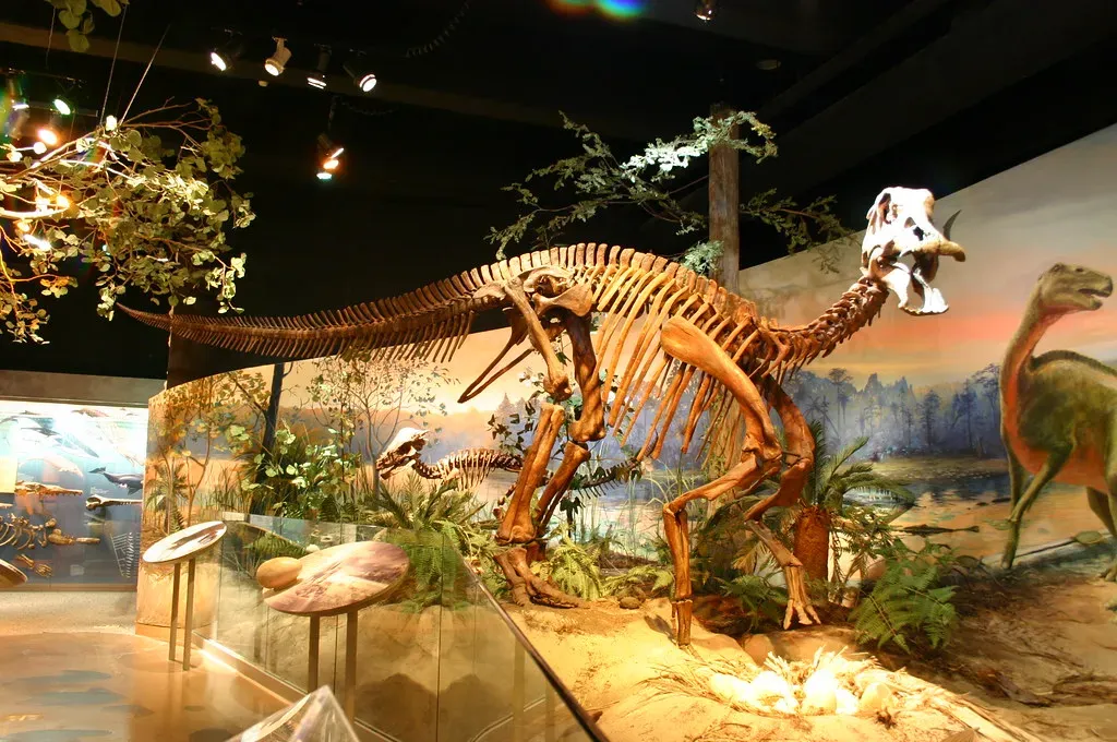 The Bone Record Speaks of Seasons (Ryan Somma, Flickr, CC BY-SA 2.0)