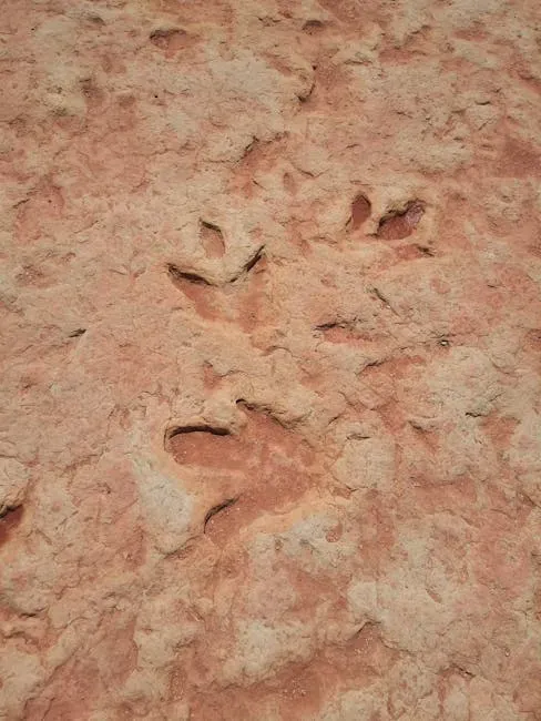 10. Moenave Dinosaur Tracks, Navajo Nation, Arizona (Image Credits: Pexels)