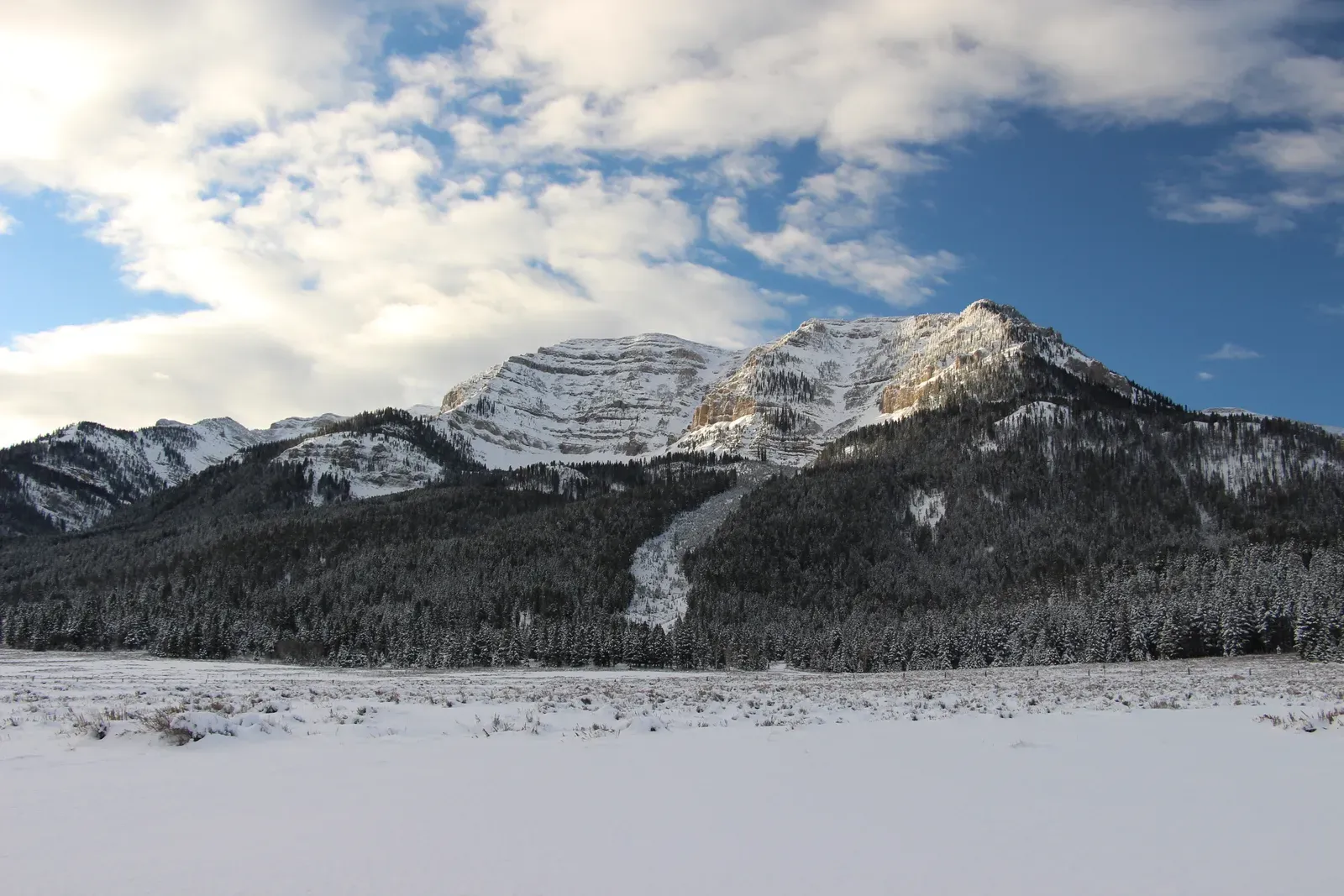 #11 - Moa Retreated To "Death Zone" Mountain Refuges Before Vanishing (Snowy Mountain, Public domain)