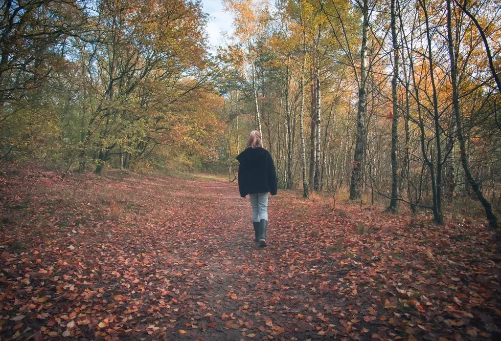 What Breaking Free Actually Looks Like (Image Credits: Rawpixel)